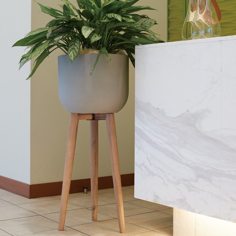 �ۥ륹�� ���åɥ�å��ݥå� HI