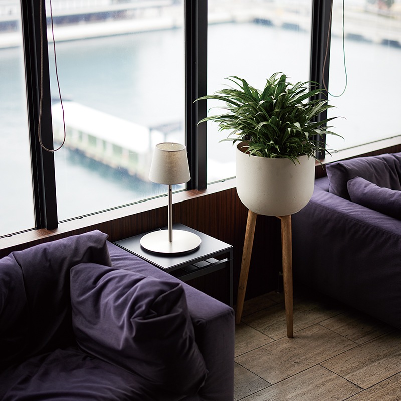 �ۥ륹�� ���åɥ�å��ݥå� HI