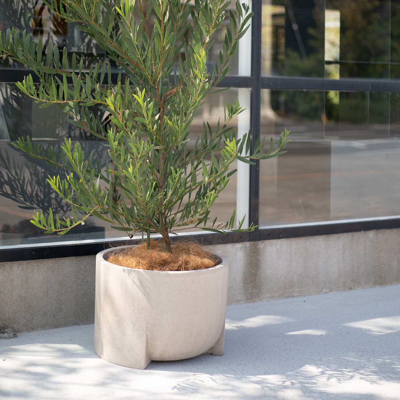 ���쥢����