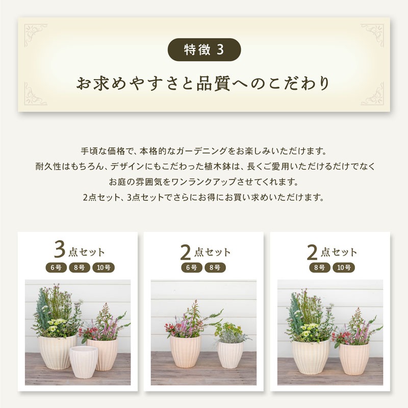 E-36W ���ھ���