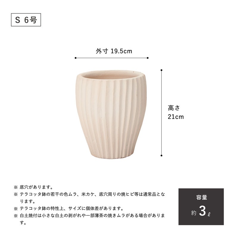 E-36W ���ھ���