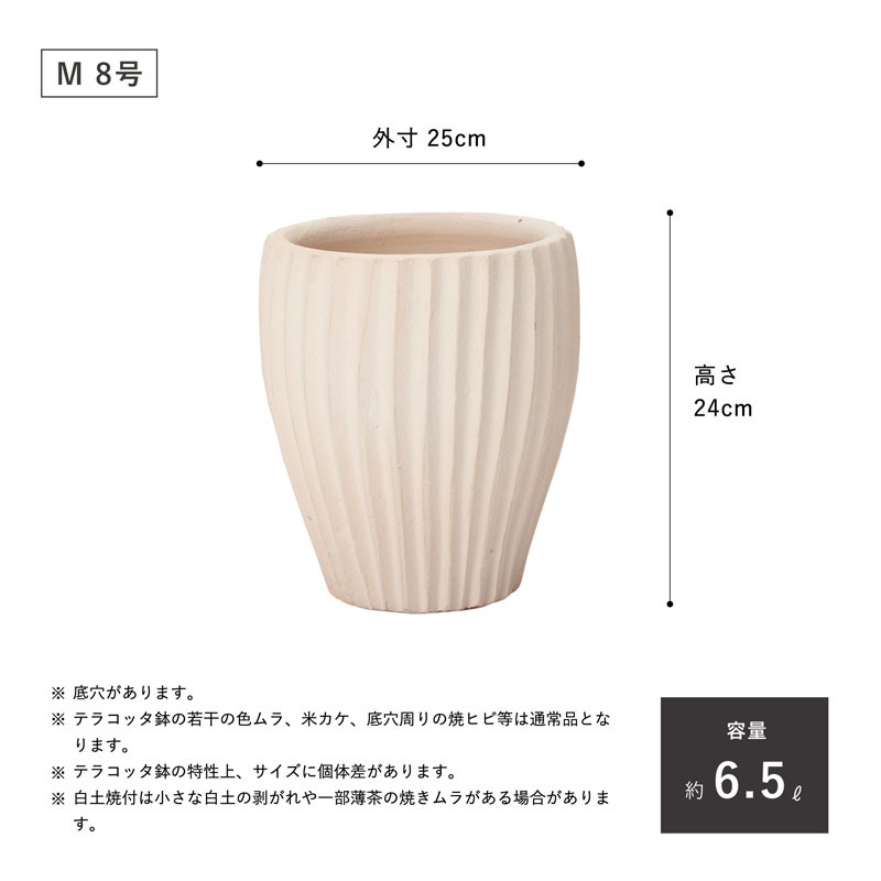 E-36W ���ھ���