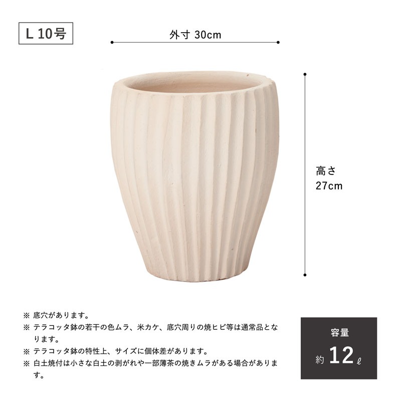 E-36W ���ھ���