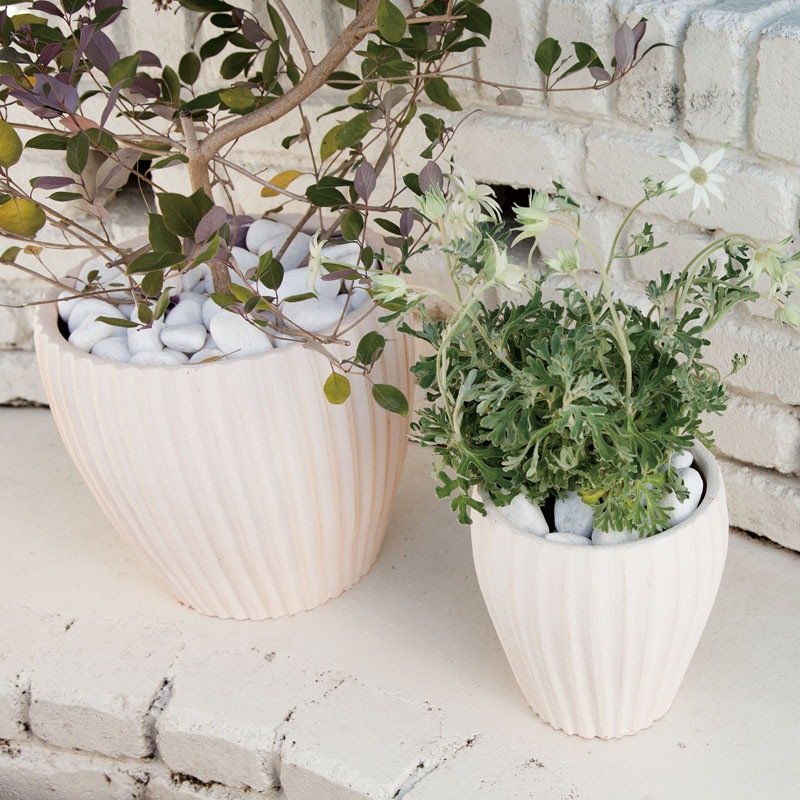 E-36W ���ھ���