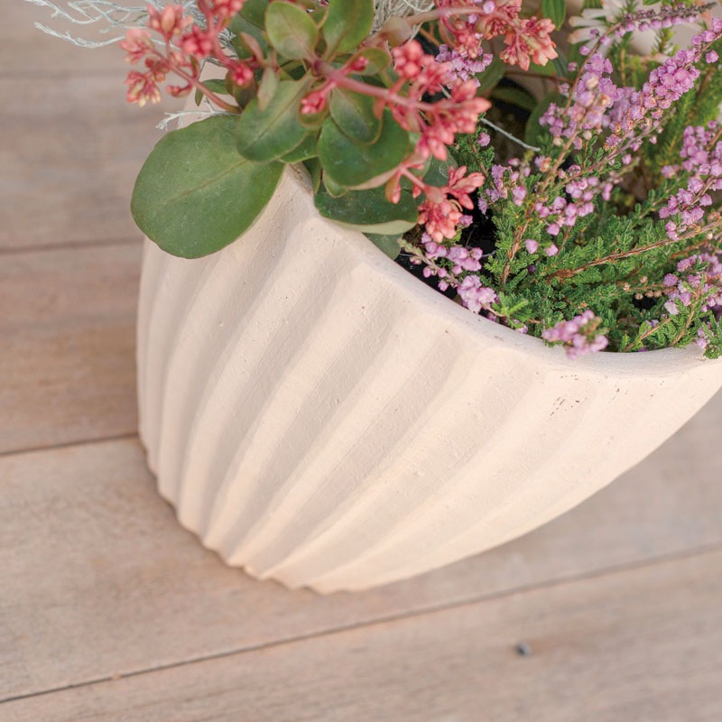 E-36W ���ھ���