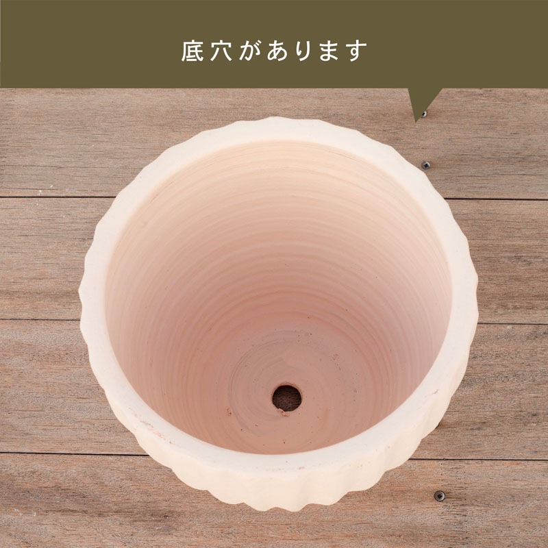 E-36W ���ھ���