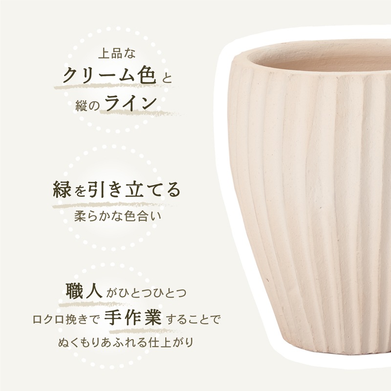 E-36W ���ھ���