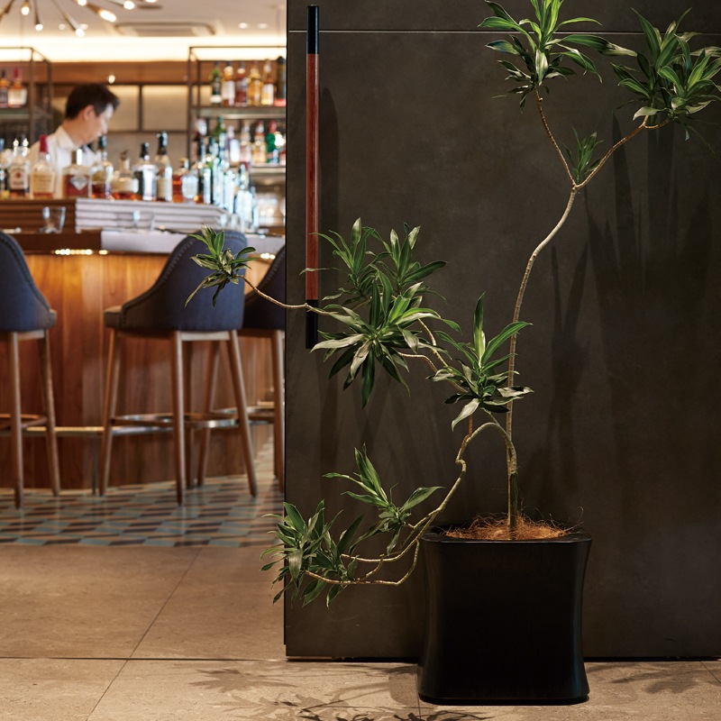 【Filet】フィレ スクエア L 植木鉢 鉢植え 鉢 アンティーク かっこいい Filet】フィレ スクエア L 植木鉢 鉢植え 鉢 アンティーク かっこいい