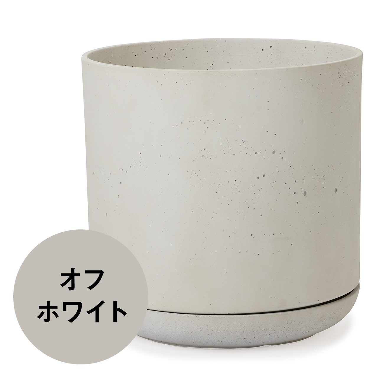 �ɥ��� �桼�ݥåȡ���������