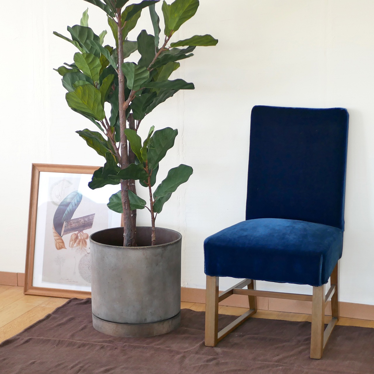 �ɥ��� ������������������