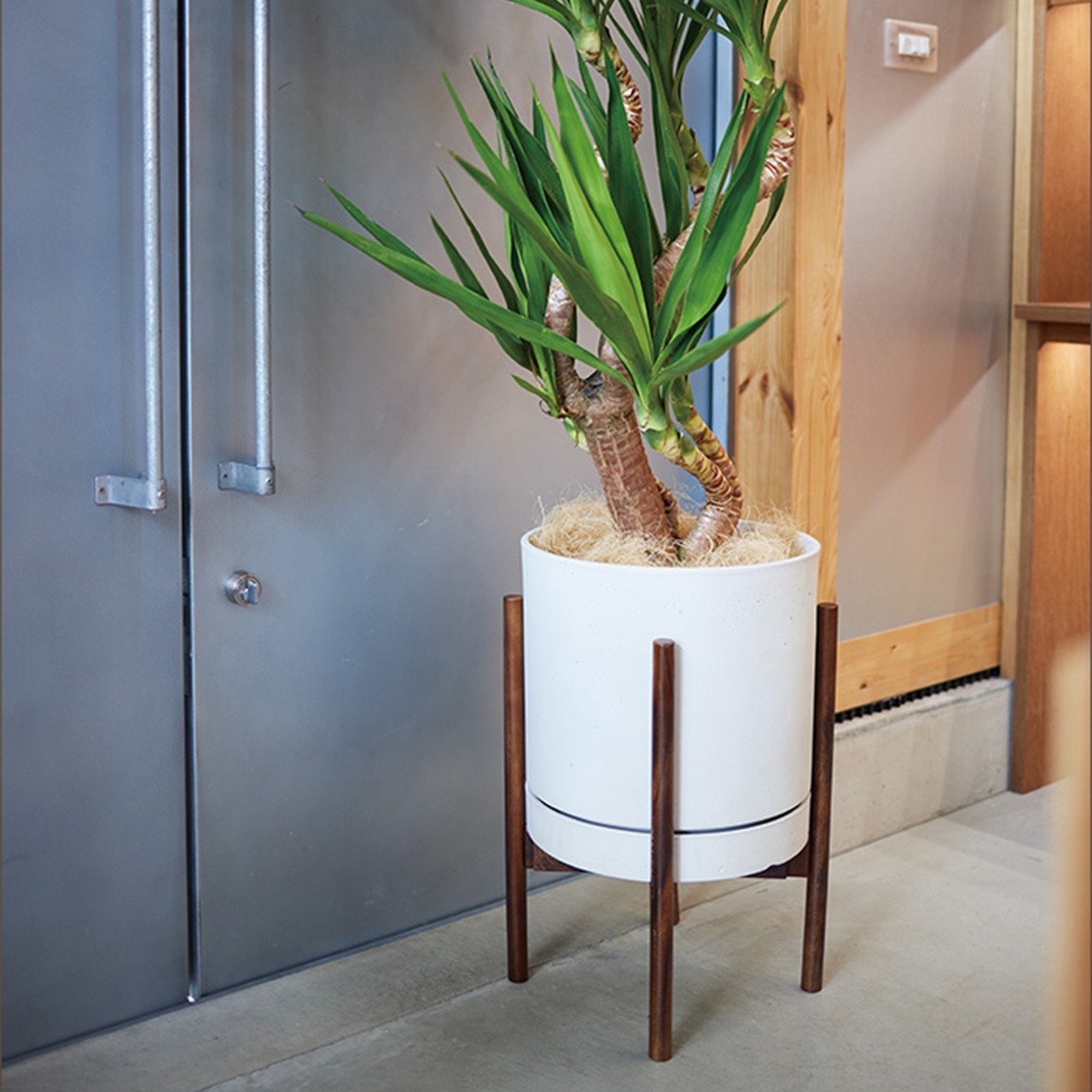 �ɥ��� ������������������