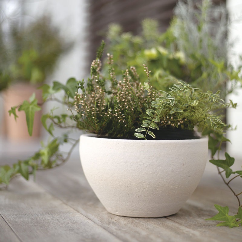 E-26W ���ھ���