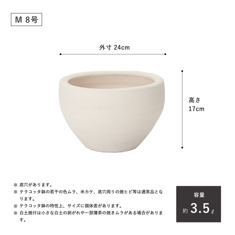 E-26W ���ھ���