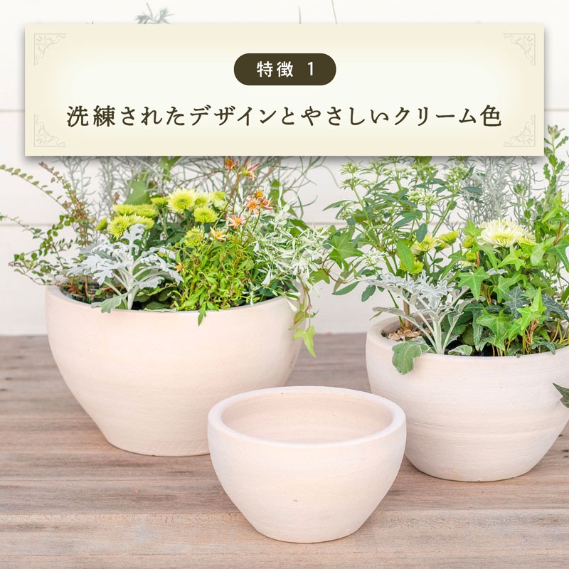 E-26W ���ھ���