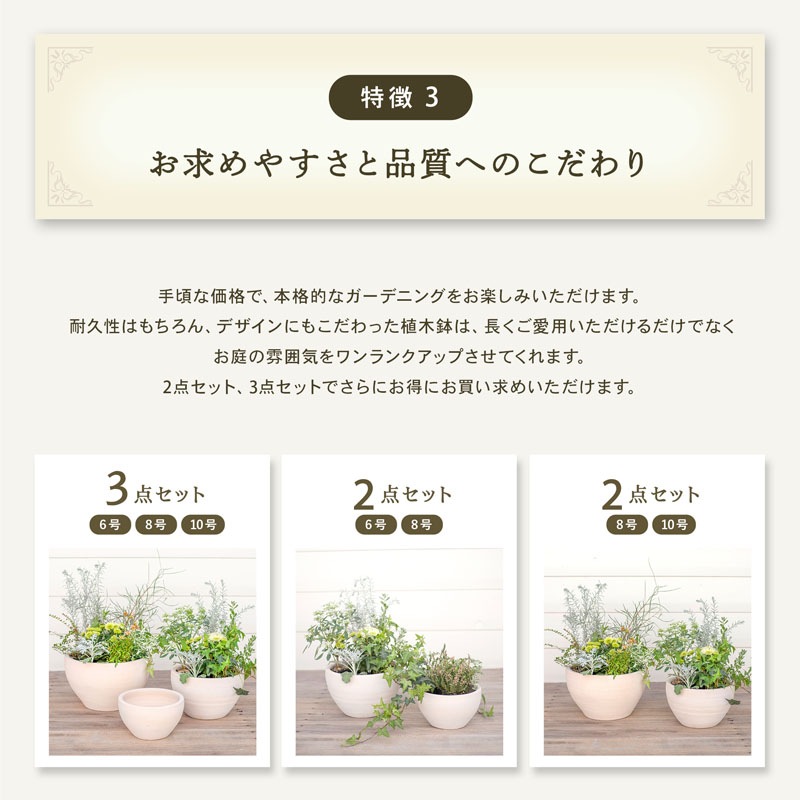 E-26W ���ھ���