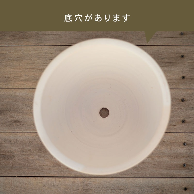 E-26W ���ھ���