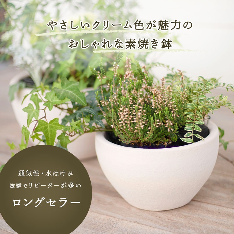 セルビン焼き「カップ&ソーサー』
