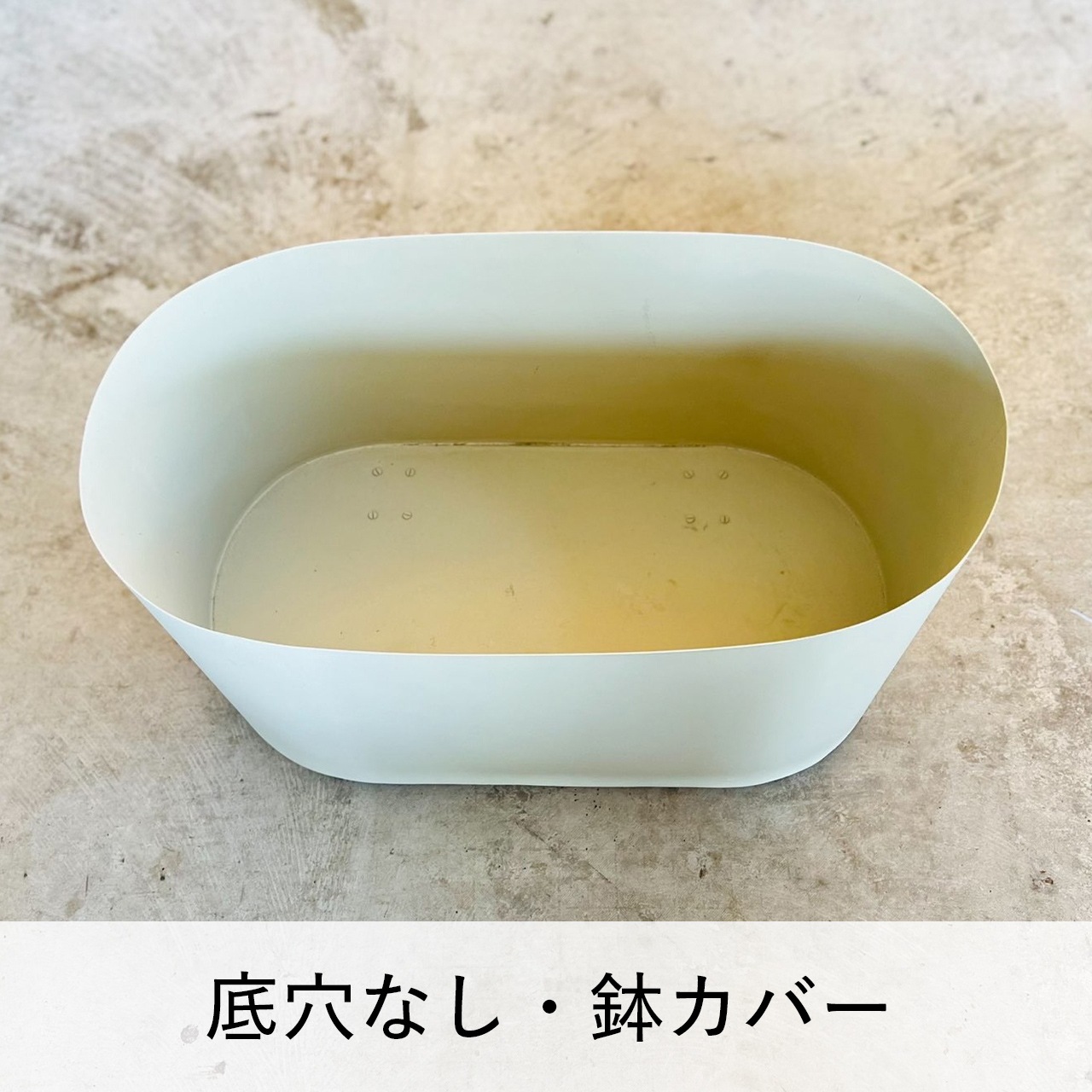 �����Х� ���㥹������