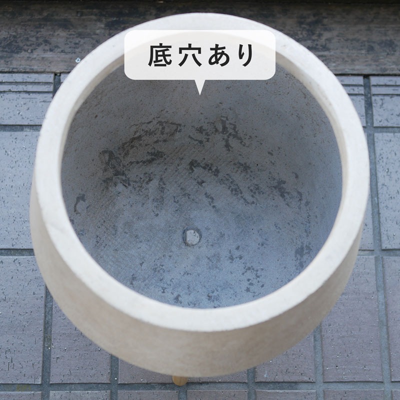 �ݥǥ� �쥮�åɥץ�󥿡�