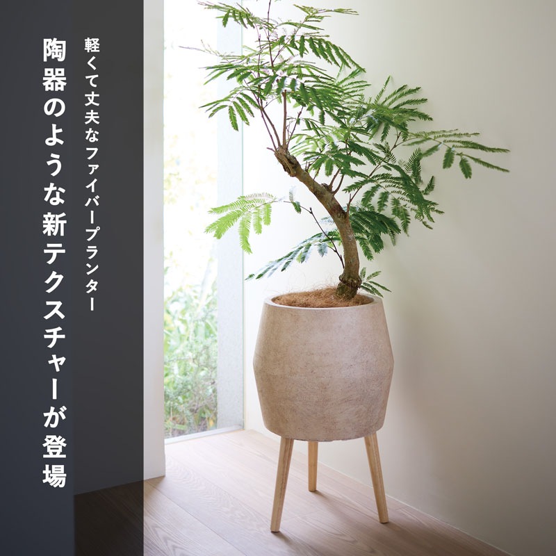 �ݥǥ� �쥮�åɥץ�󥿡�