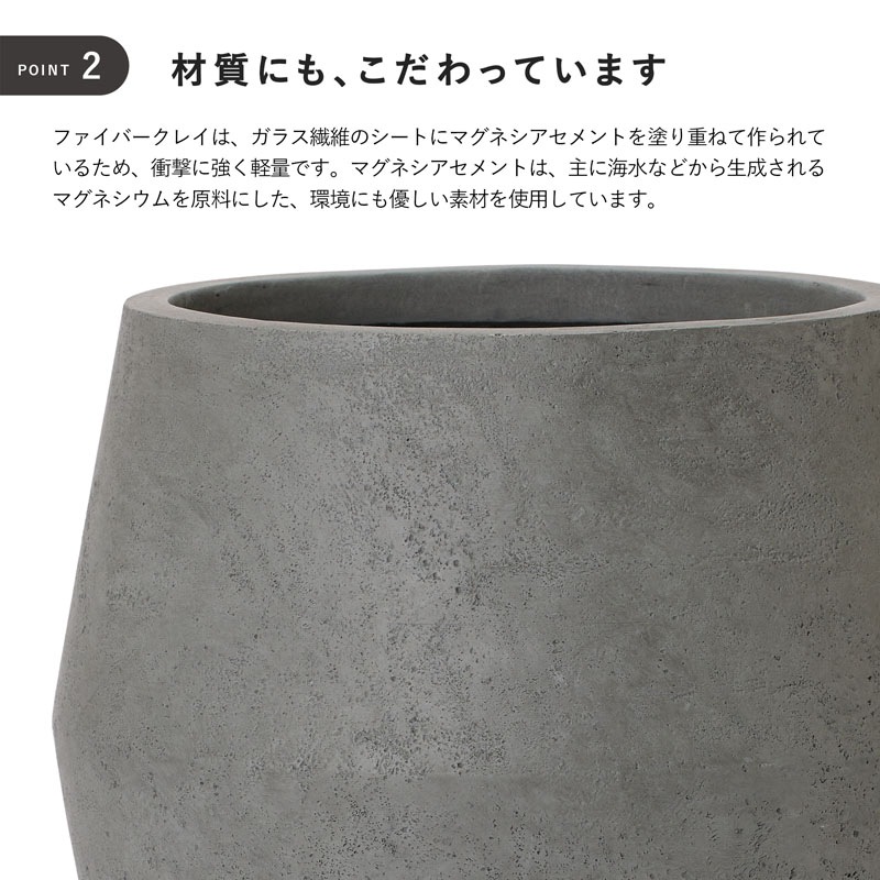 �ݥǥ� �쥮�åɥץ�󥿡�