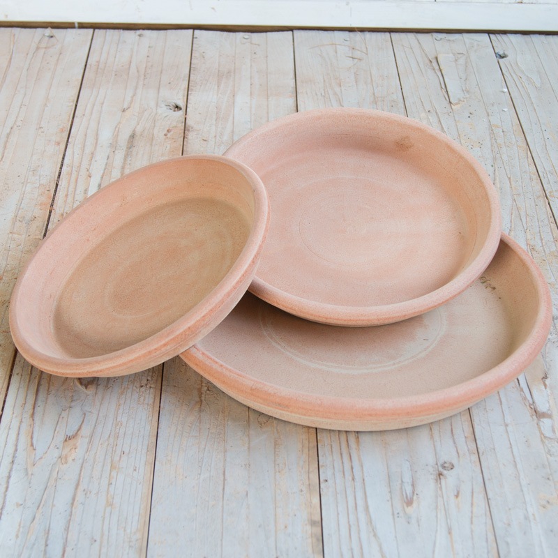 �������� ���꡼��/�ƥ顦G