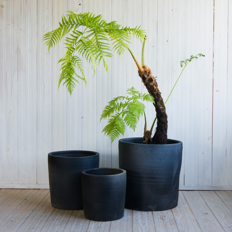 203 ��������