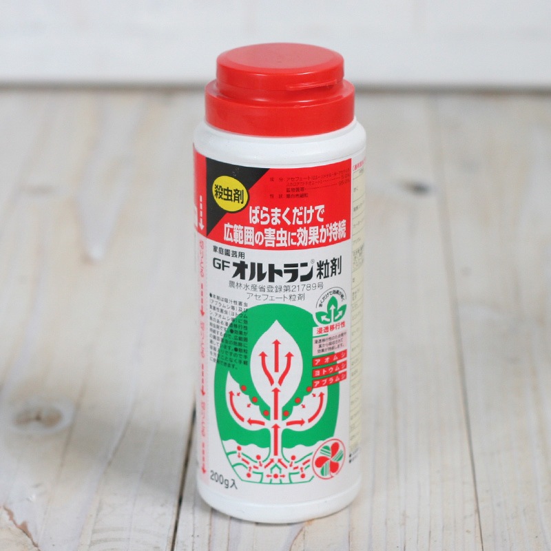 GF����ȥ��γ��