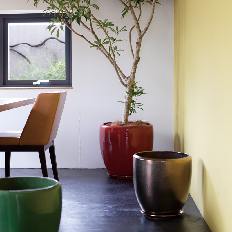 �ɥ��� �������դ�