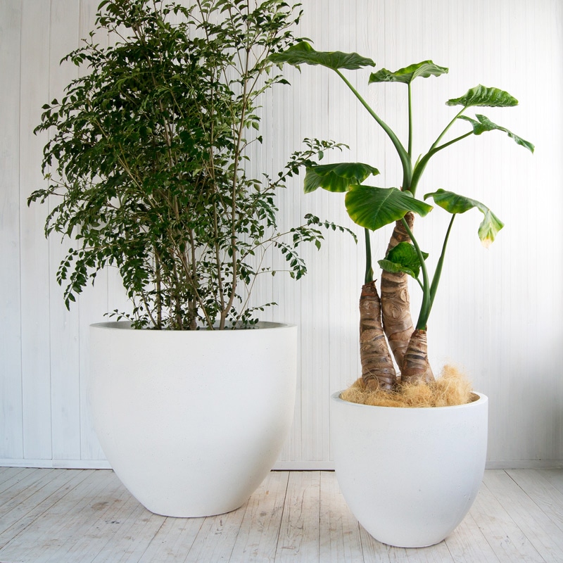 鉢・プランター Miyu ミュウ ラウンドプランター | ファイバークレイプロ | 植木鉢