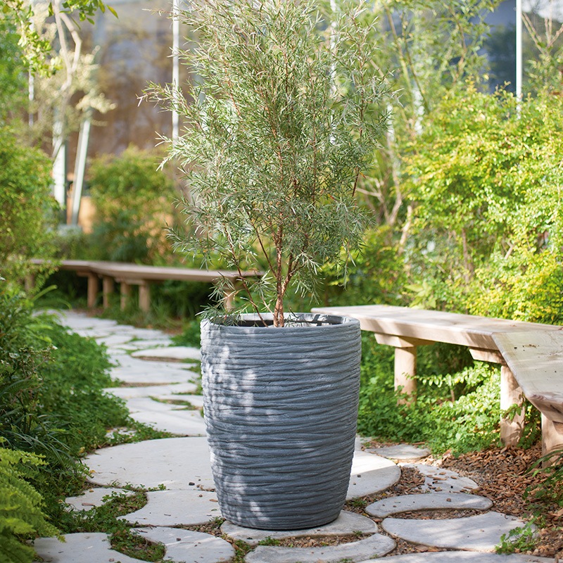 ���󡦥ߥɥ� ��å�