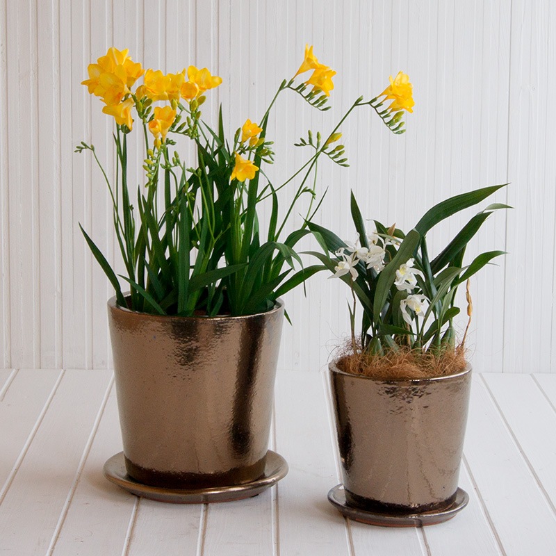 ���� �������դ�