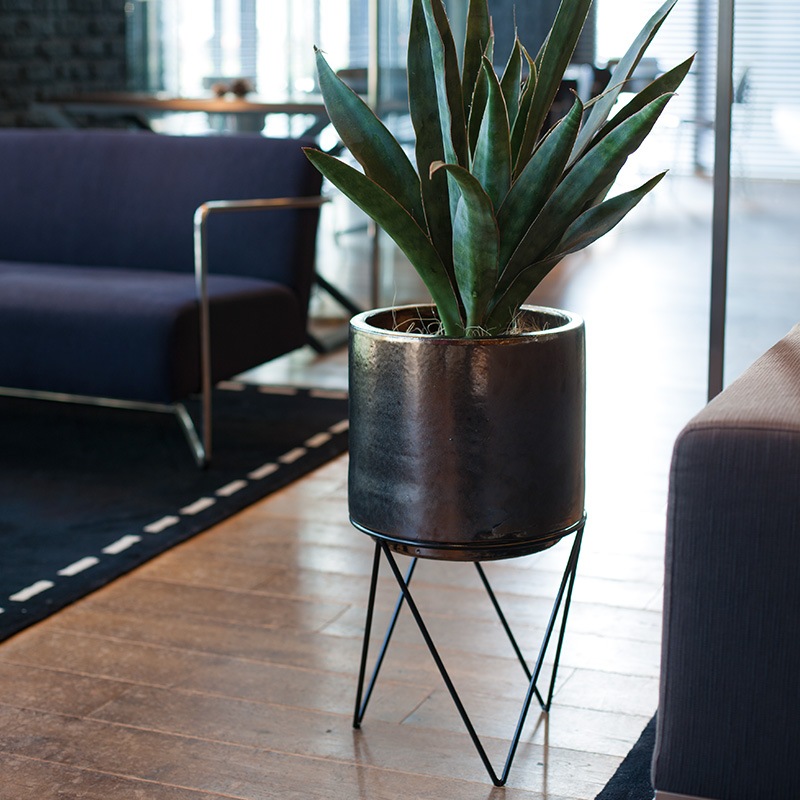 ����ǥ� ����ʡ��ݥå��դ�