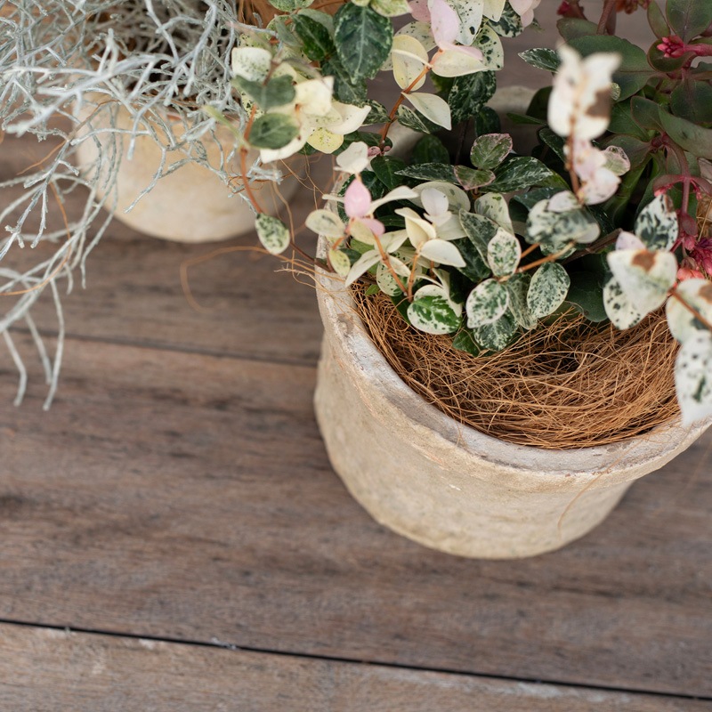 700W ��������������󥯥ݥå�