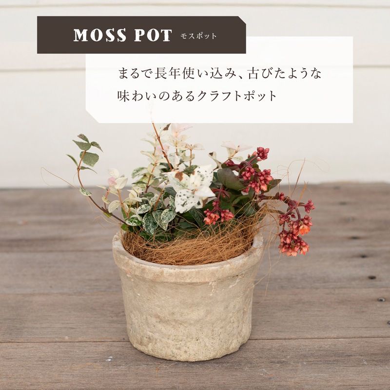 700W ��������������󥯥ݥå�