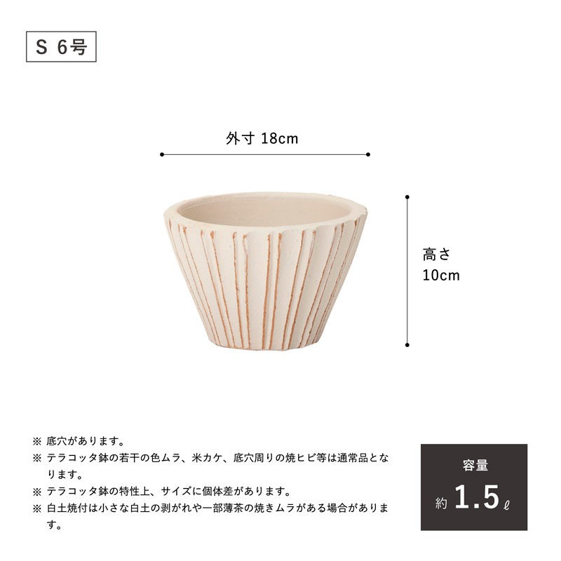 E-34W ���ھ���