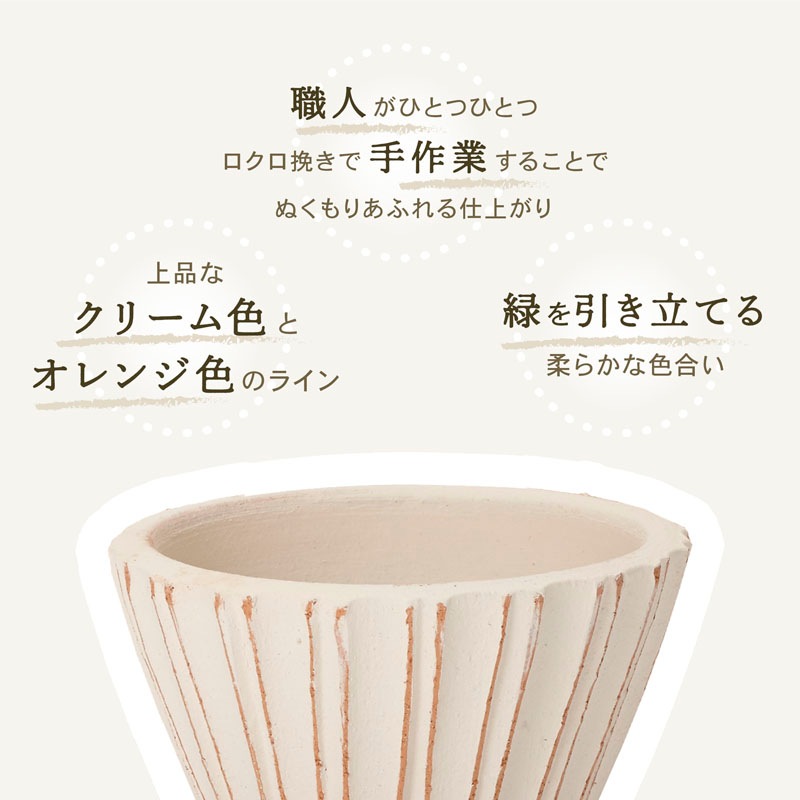 E-34W ���ھ���