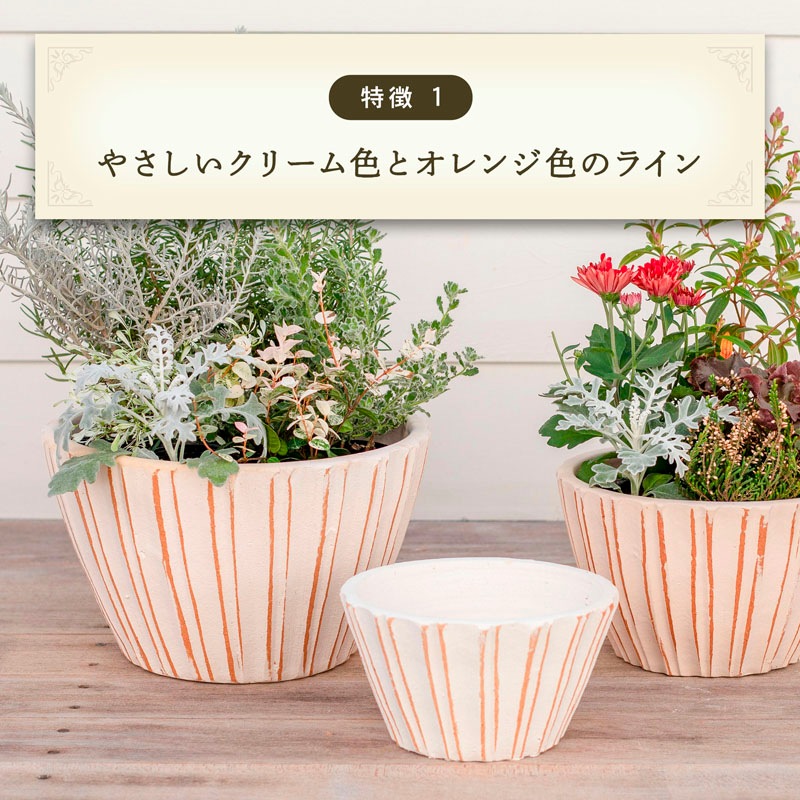 E-34W ���ھ���