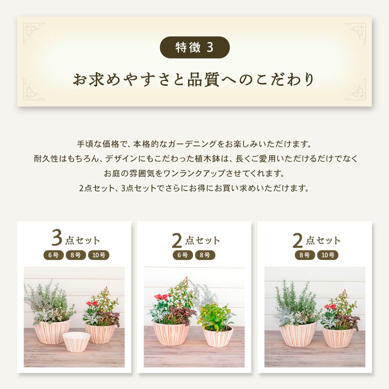 E-34W ���ھ���