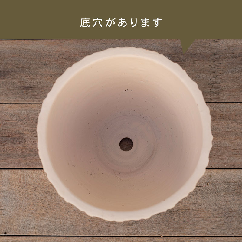 E-34W ���ھ���