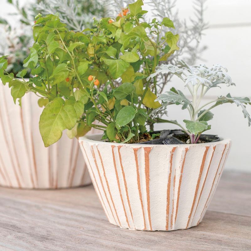 E-34W ���ھ���