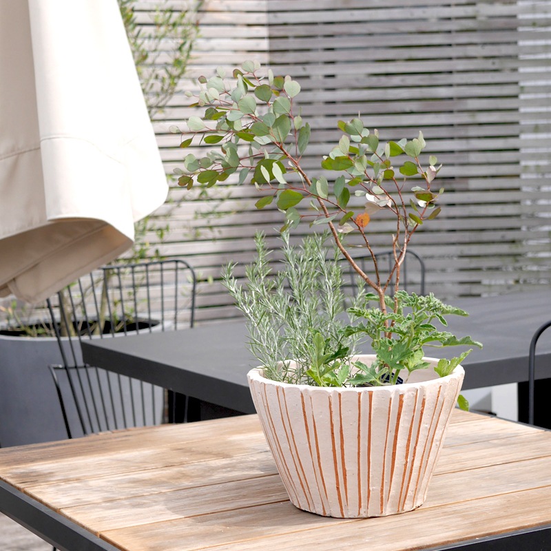 E-34W ���ھ���