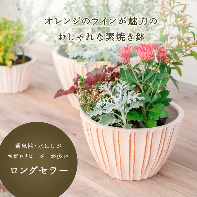 E-34W ���ھ���