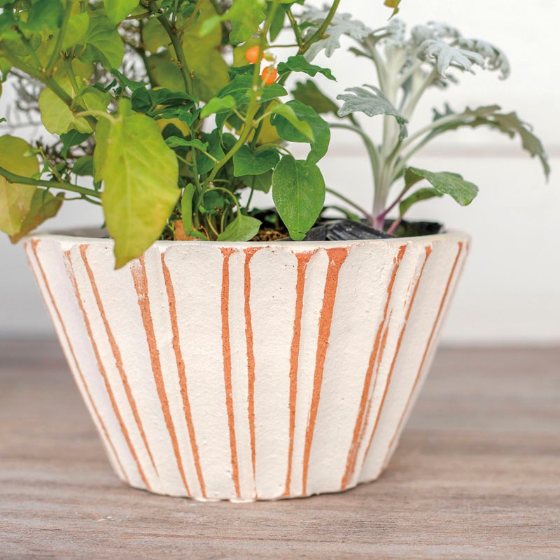 E-34W ���ھ���