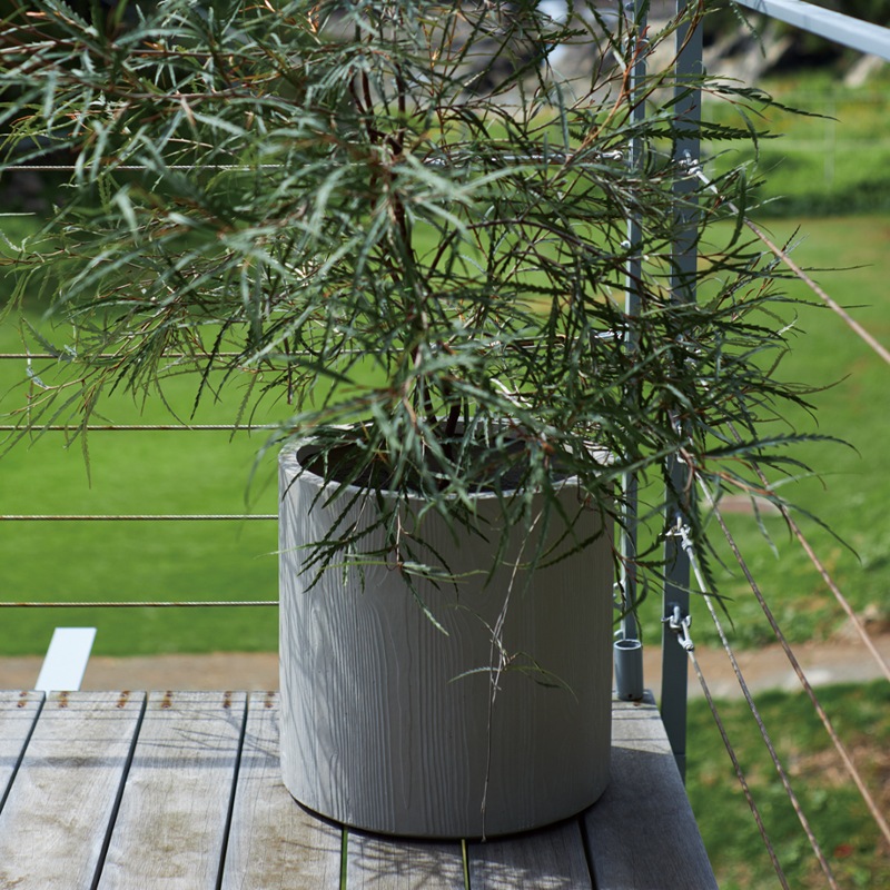 ����ե� ���������ץ�󥿡� �ե��å��륦�å�