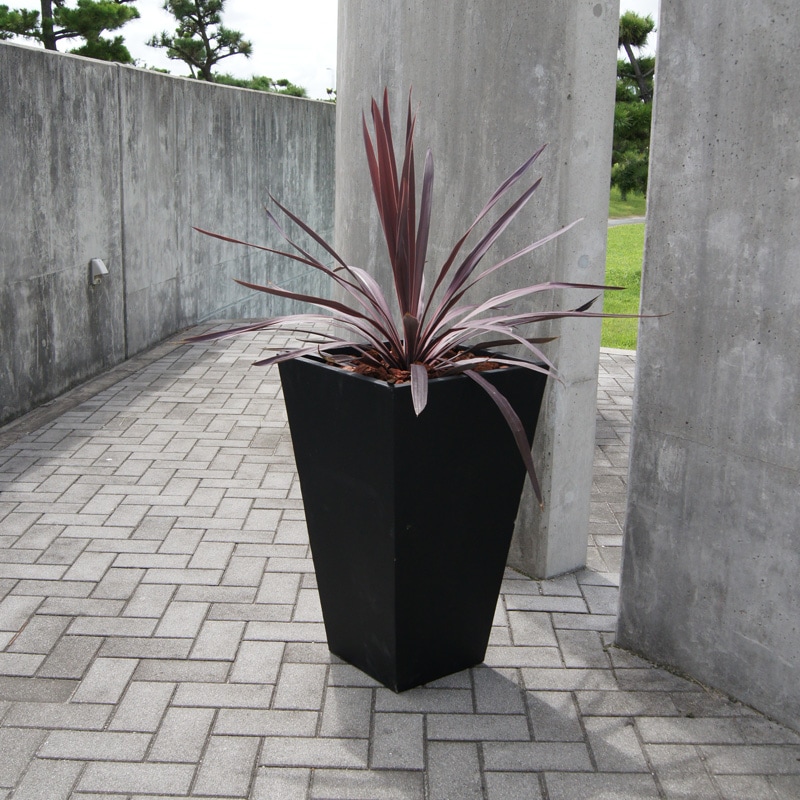 ������ ���������ȡ���ץ�󥿡�