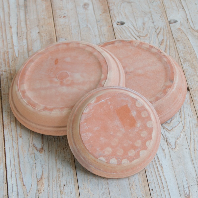 �������� ���꡼��/�ƥ顦G