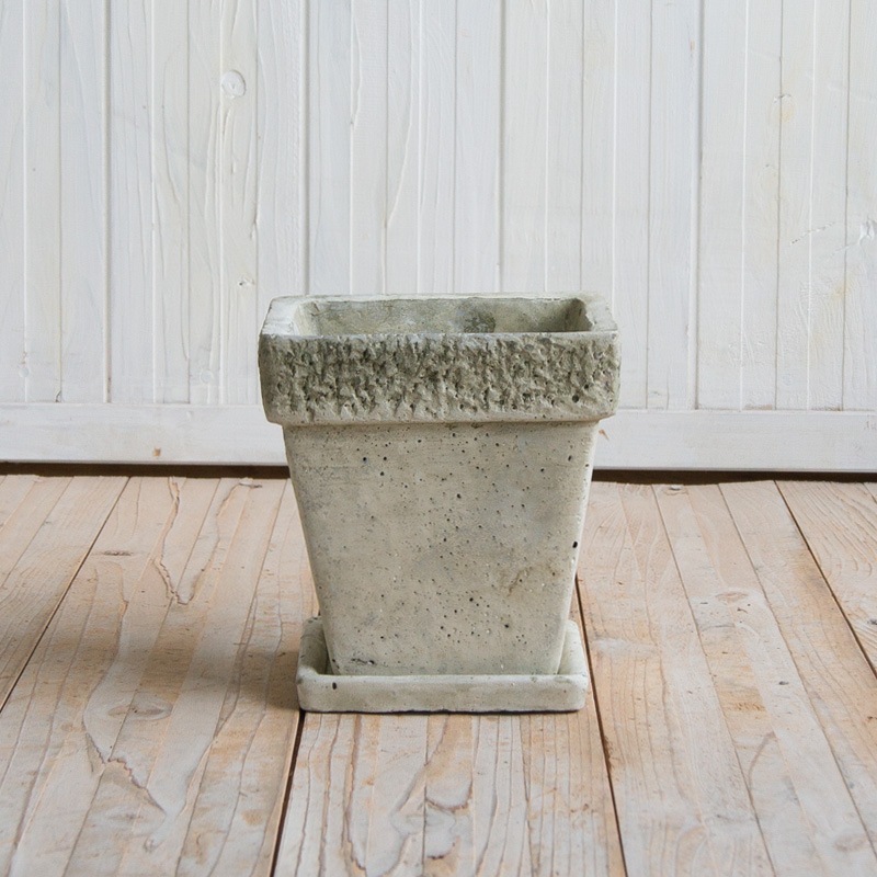 ��� �饦���/�������� �������դ�