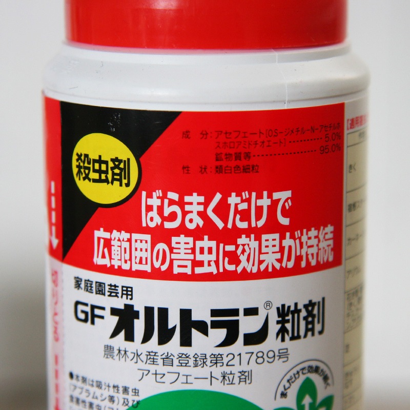 GF����ȥ��γ��