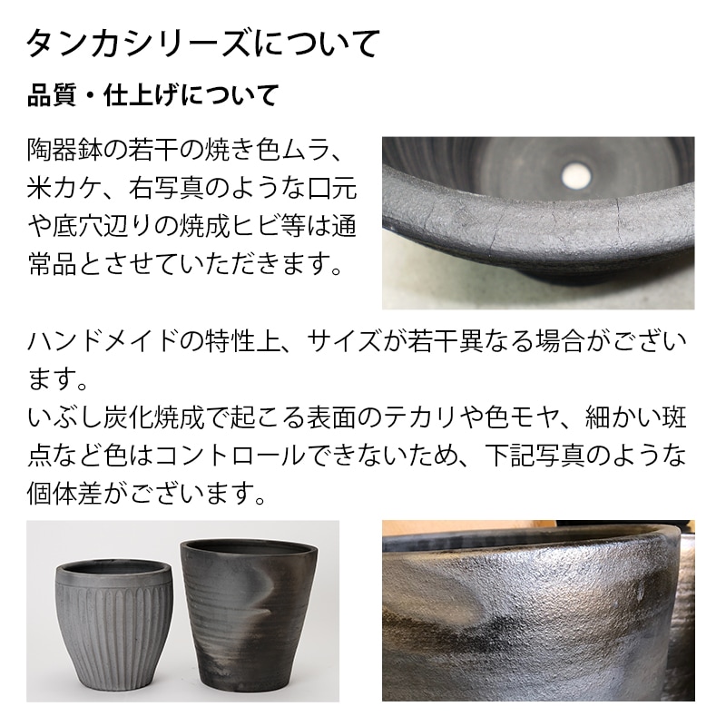 205 �桼�ݥå�